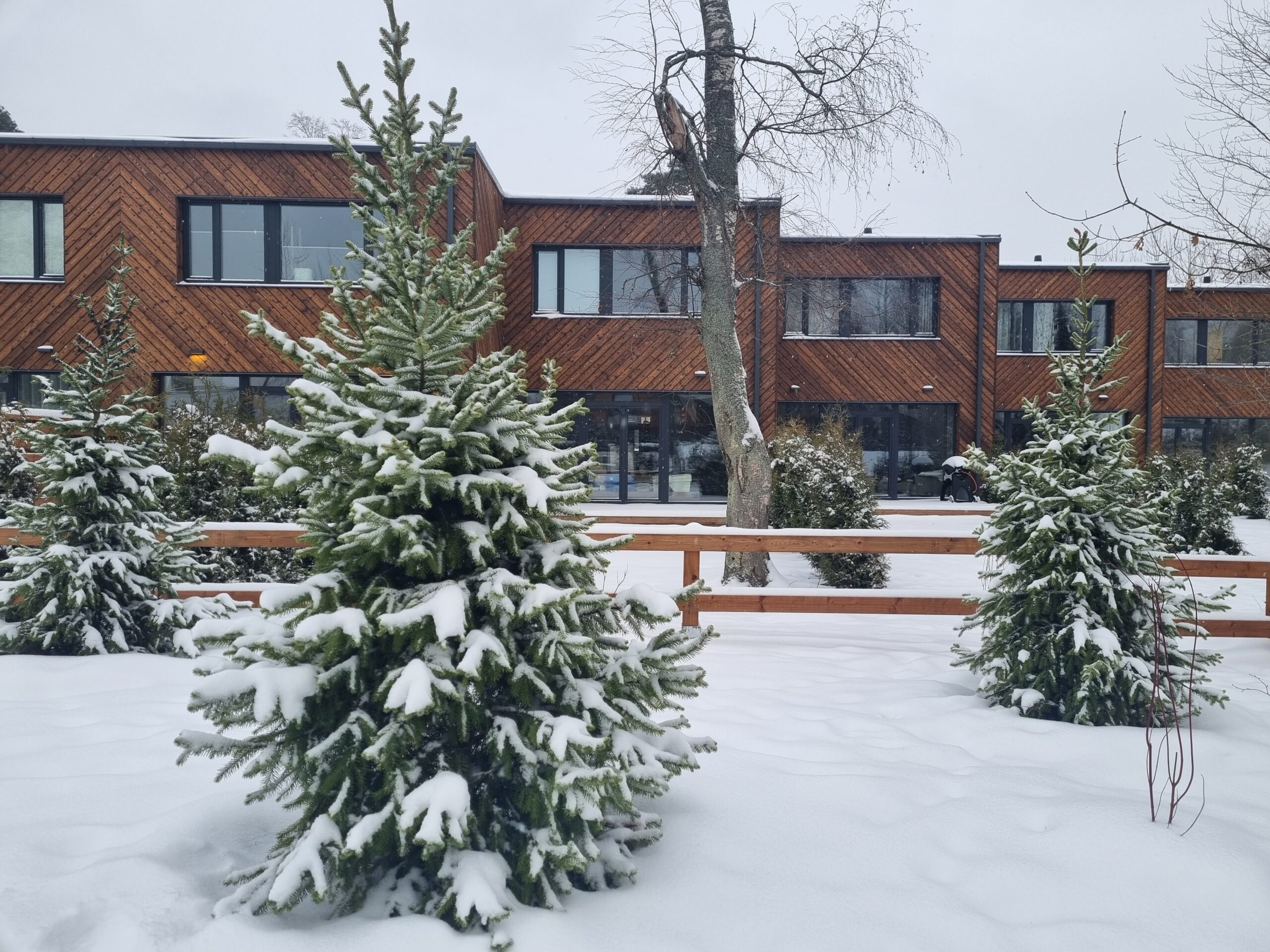 põletatud puit fassaad