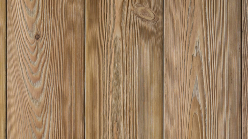 harjatud siberi lehis