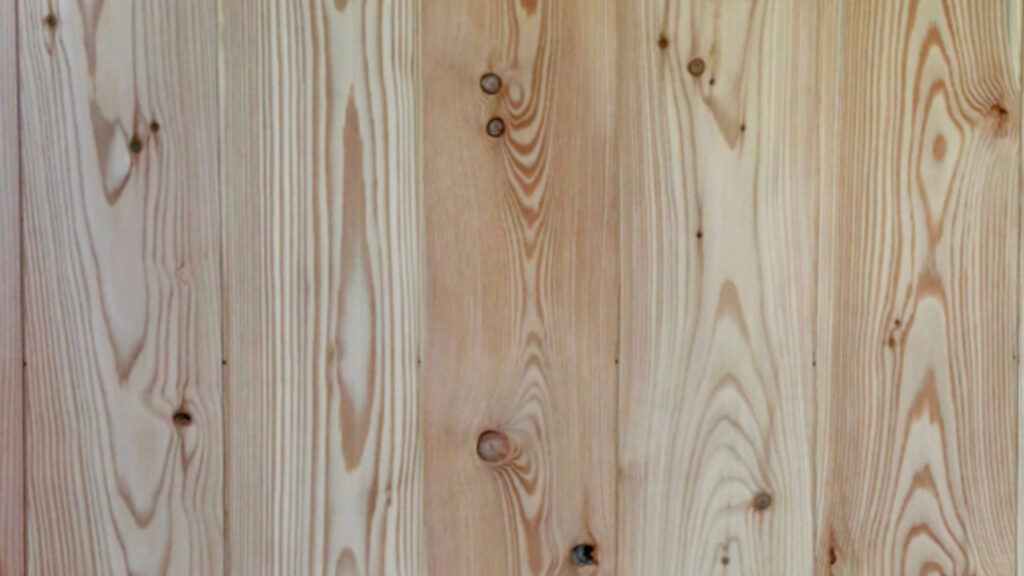 töötlemata euroopa lehis