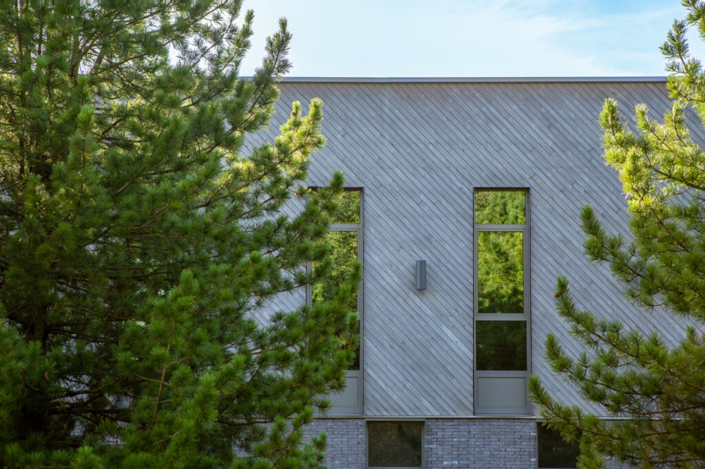 Hall peits Tikkurila 5147 termotöödeldud mänd voodrilaud